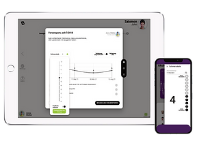 ipad_iphone_schmerzfeedback.png